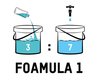 VALET PRO FOAMULA 1 1L